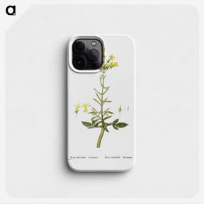 2-23_Histoire-des-Plantes-Grasses_phone