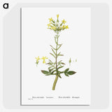 2-23_Histoire-des-Plantes-Grasses_picture-crop