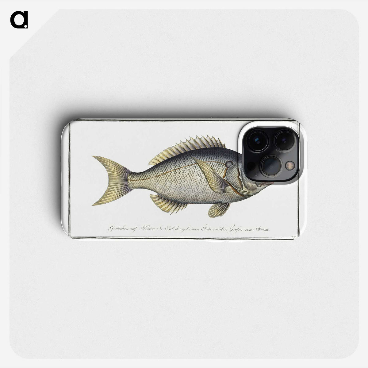 2-23_Ichtyologie-ou-Histoire-naturelle_phone