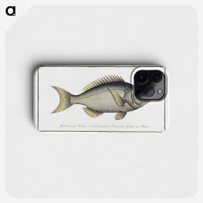 2-23_Ichtyologie-ou-Histoire-naturelle_phone