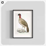 2-23_Indian-Zoology_blk