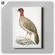 2-23_Indian-Zoology_canvas