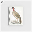 2-23_Indian-Zoology_memo