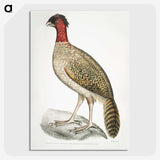 2-23_Indian-Zoology_picture-crop