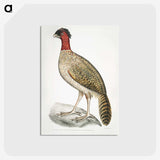 2-23_Indian-Zoology_postcard