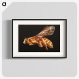 2-23_Insects-Unlocked-Project_blk