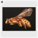 2-23_Insects-Unlocked-Project_picture-crop