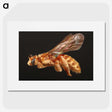 2-23_Insects-Unlocked-Project_picture