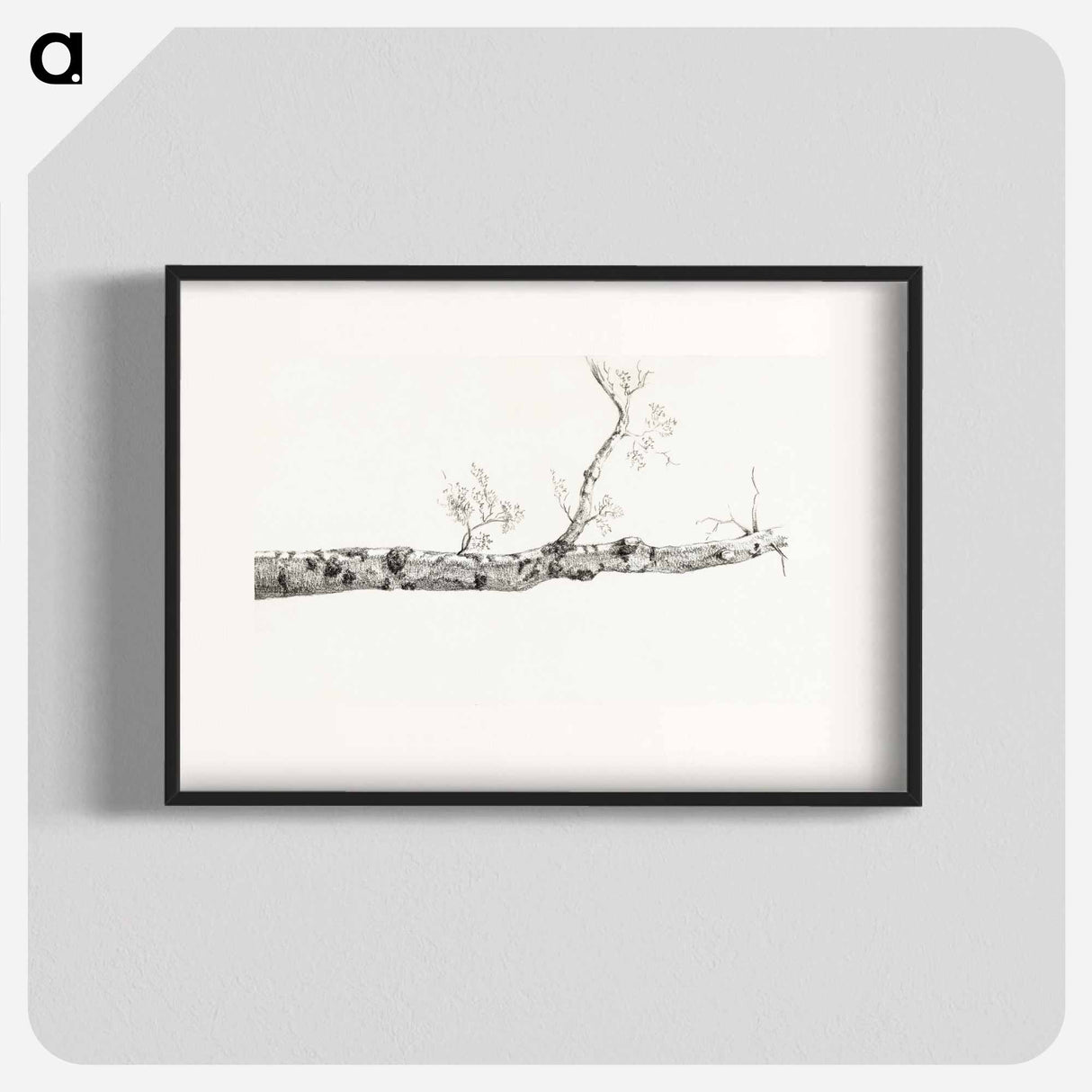 Study of a tree - Jean Bernard Poster.