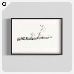 アートポスター-Study of a tree - ジャン ベルナール Poster.