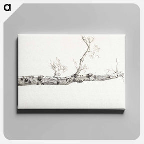 アートパネル-Study of a tree - ジャン ベルナール Canvas.