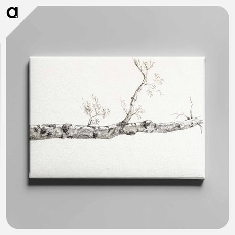 アートパネル-Study of a tree - ジャン ベルナール Canvas.