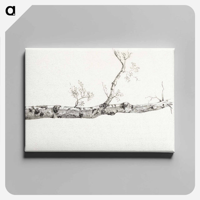 アートパネル-Study of a tree - ジャン ベルナール Canvas.