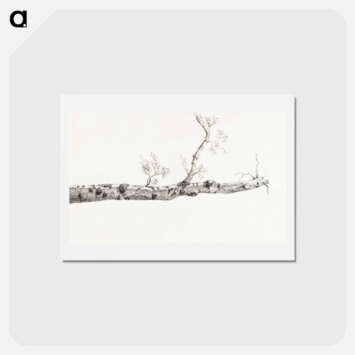 アートポストカード-Study of a tree - ジャン ベルナール Postcard.