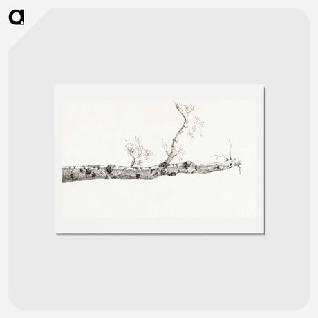 アートポストカード-Study of a tree - ジャン ベルナール Postcard.