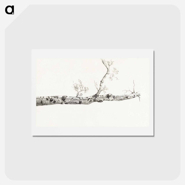 アートポストカード-Study of a tree - ジャン ベルナール Postcard.