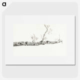 2-23_Jean-Bernard_picture
