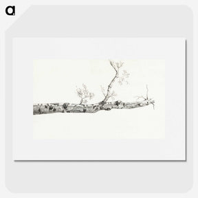 2-23_Jean-Bernard_picture