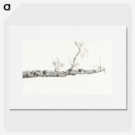 2-23_Jean-Bernard_picture