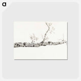 アートポストカード-Study of a tree - ジャン ベルナール Postcard.