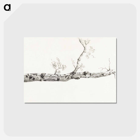 アートポストカード-Study of a tree - ジャン ベルナール Postcard.