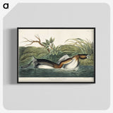 2-23_John-James-Audubon_blk-crop