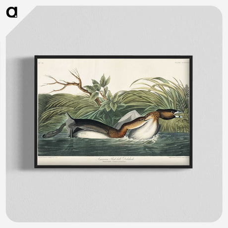 2-23_John-James-Audubon_blk-crop