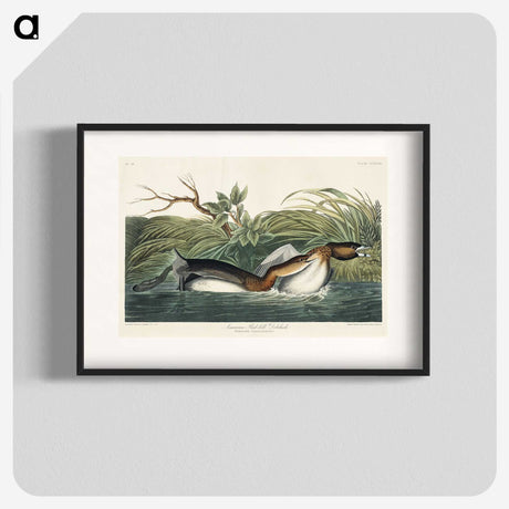 2-23_John-James-Audubon_blk