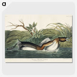 2-23_John-James-Audubon_picture-crop