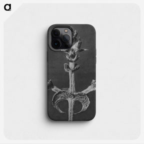 2-23_Karl-Blossfeldt_phone