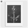 2-23_Karl-Blossfeldt_picture