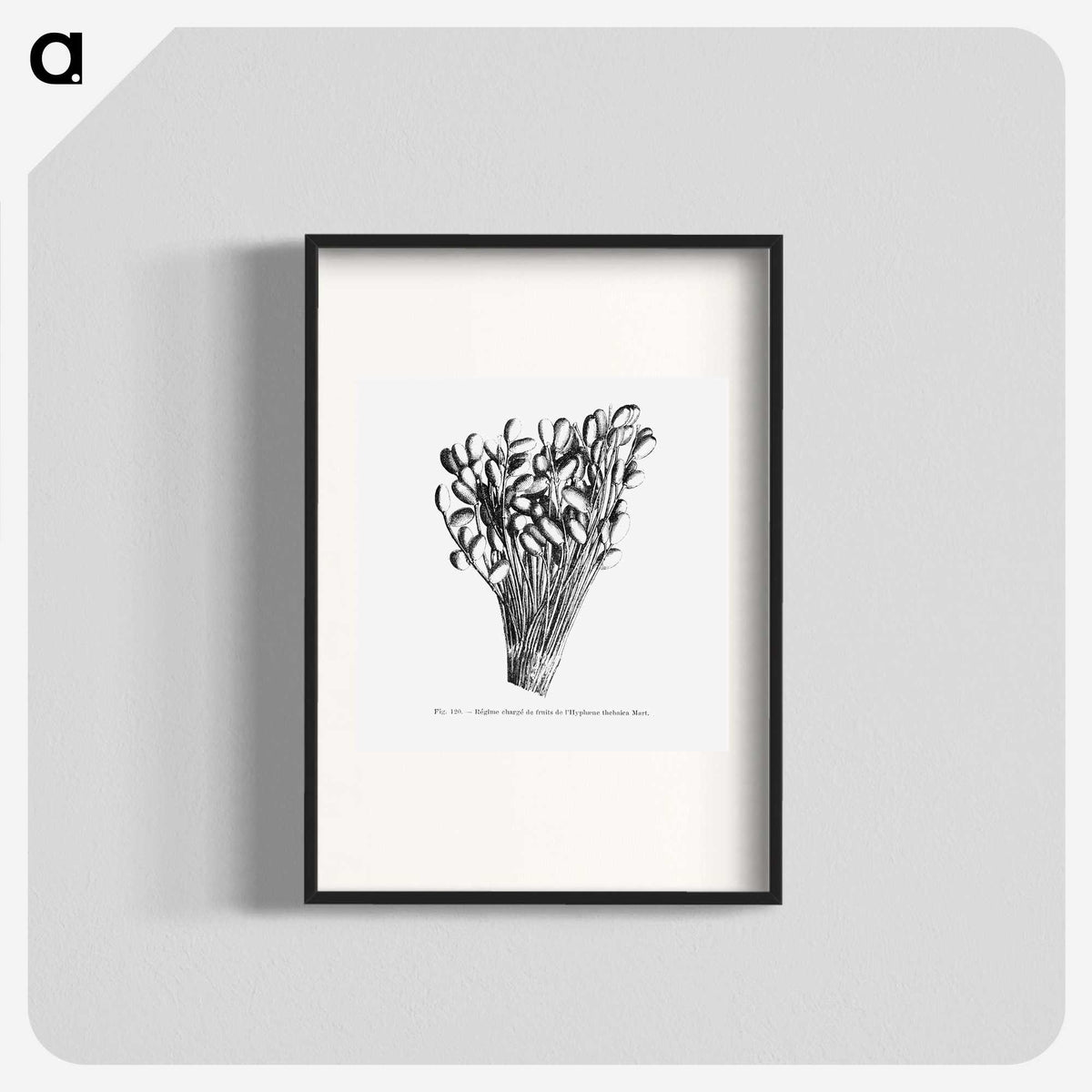 2-23_Les-Palmiers-Histoire-Iconographique_blk