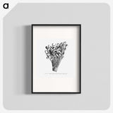 2-23_Les-Palmiers-Histoire-Iconographique_blk