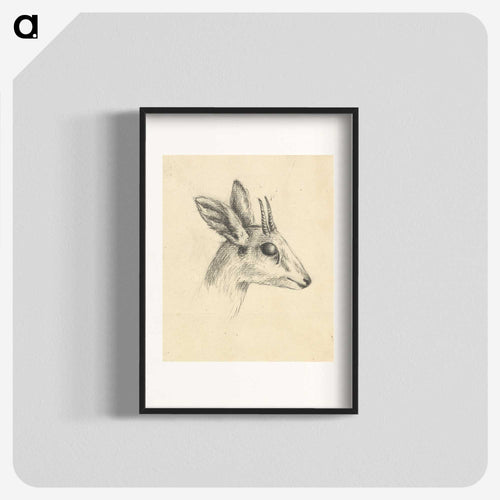 Antelope Head
 - ルイージ バルガーニ Poster.