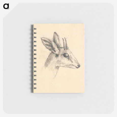 アートメモ帳-Antelope Head
 - ルイージ バルガーニ Memo.