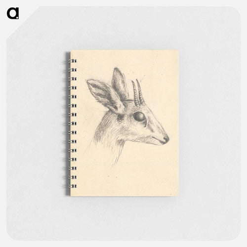 Antelope Head
 - ルイージ バルガーニ Memo.