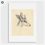 2-23_Luigi-Balugani_picture