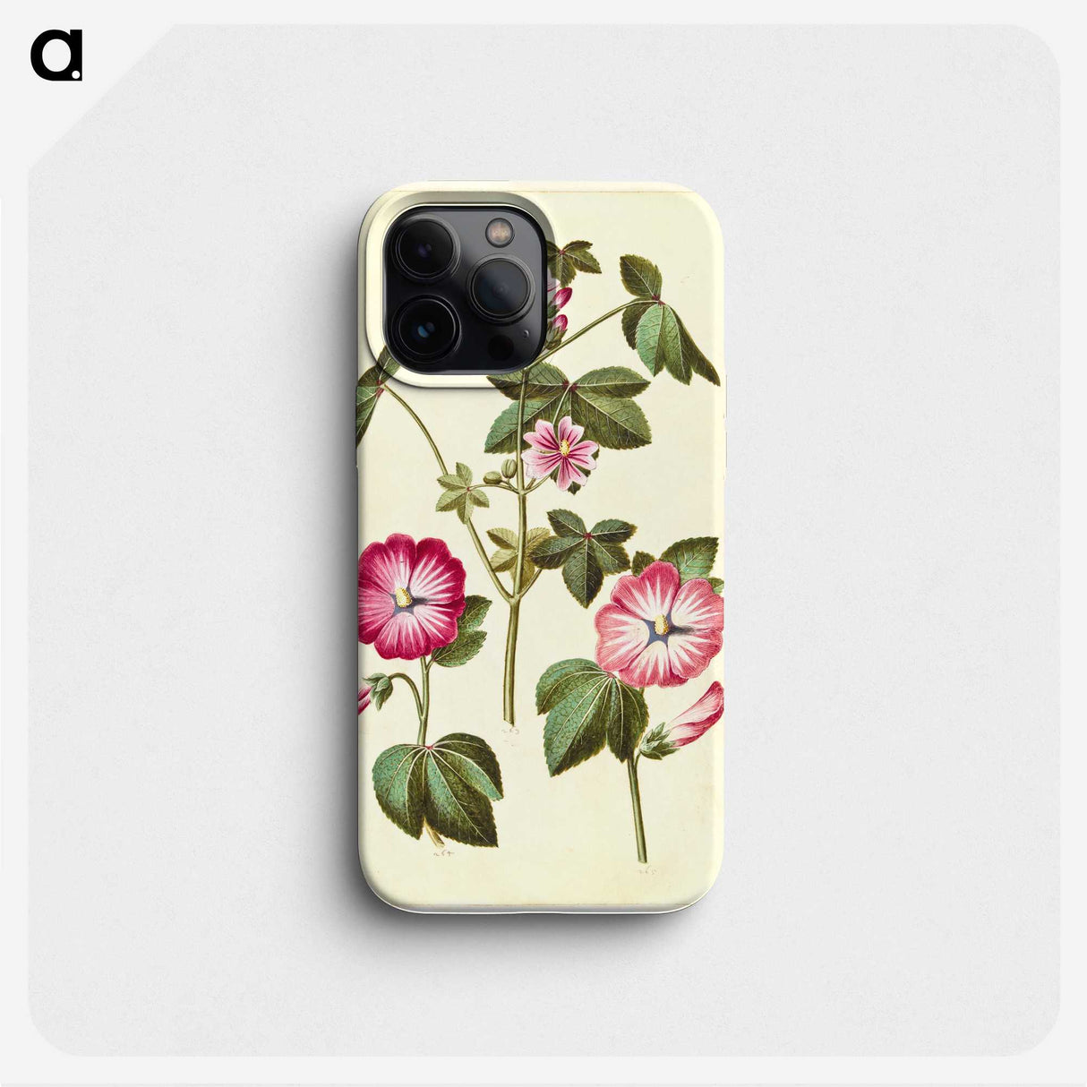 2-23_Maria-Sibylla-Merian_phone