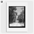 2-23_Marion-Post-Wolcott_picture