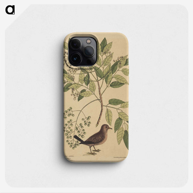 2-23_Mark-Catesby_phone
