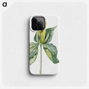 2-23_Mary-Vaux-Walcott_phone