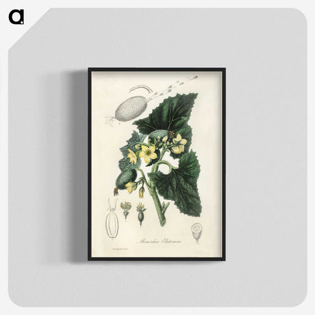 2-23_Medical-Botany_blk-crop