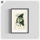 2-23_Medical-Botany_blk