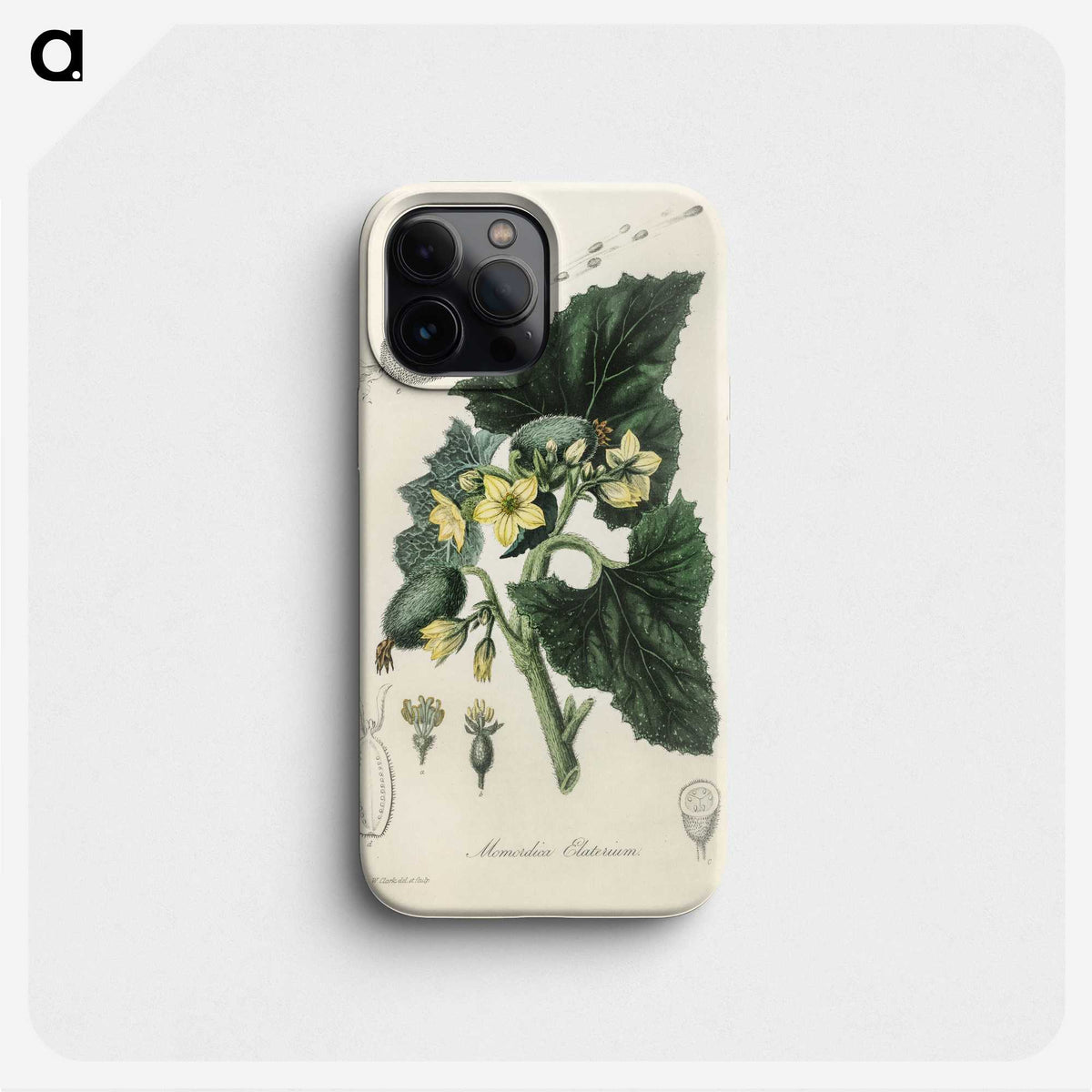 2-23_Medical-Botany_phone