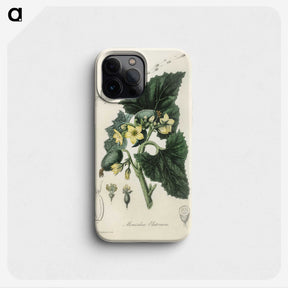 2-23_Medical-Botany_phone