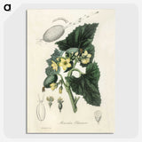 2-23_Medical-Botany_picture-crop