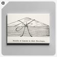 2-23_Moths-and-Butterflies-of-the-United-States_canvas