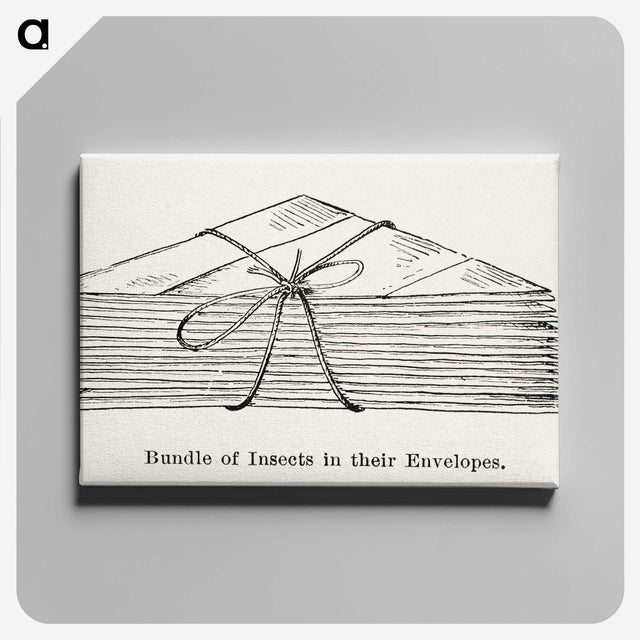 2-23_Moths-and-Butterflies-of-the-United-States_canvas