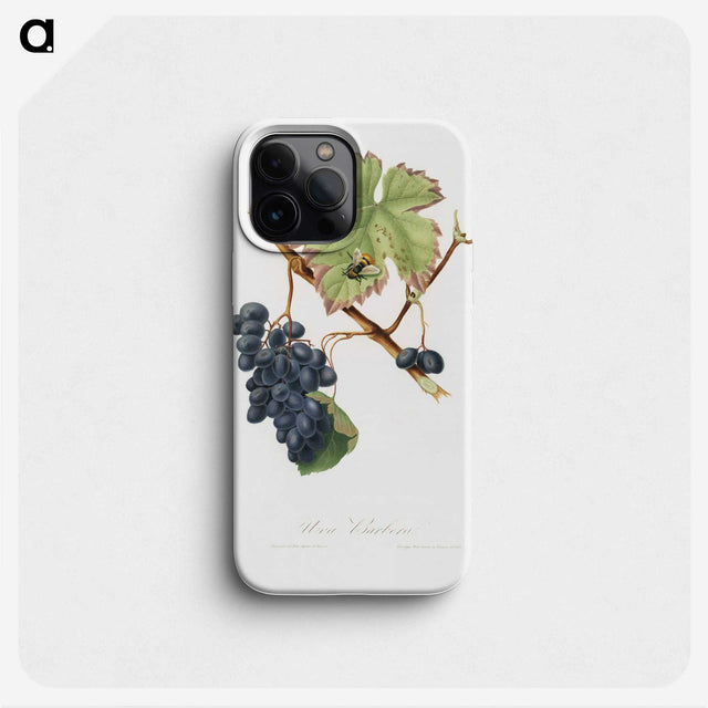 2-23_Pomona-Italiana_phone