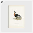 2-23_Svenska-Faglar_postcard